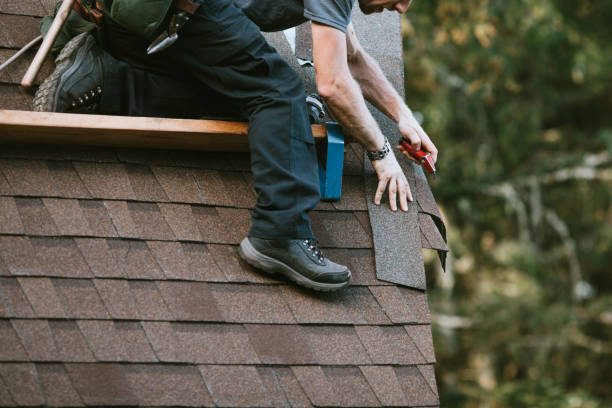 Best Roof Gutter Cleaning  in Stinnett, TX